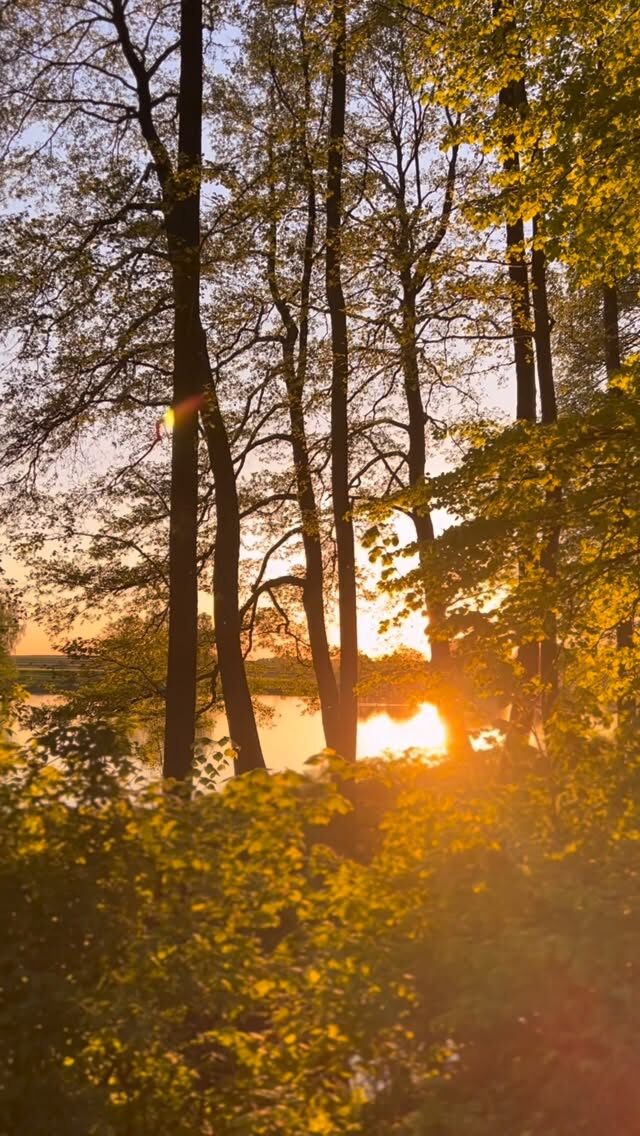 Instagram post from cyprianowka. This post is in position 1.